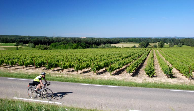 Bptq-provence-biking-12